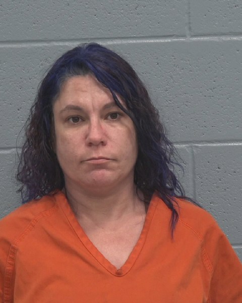 Mugshot of NICOLE DANIELLE LYNCH-SCHWARZ