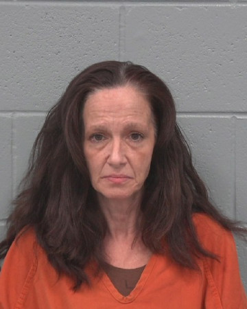 Mugshot of ELAINE ANNE ROWLETTE