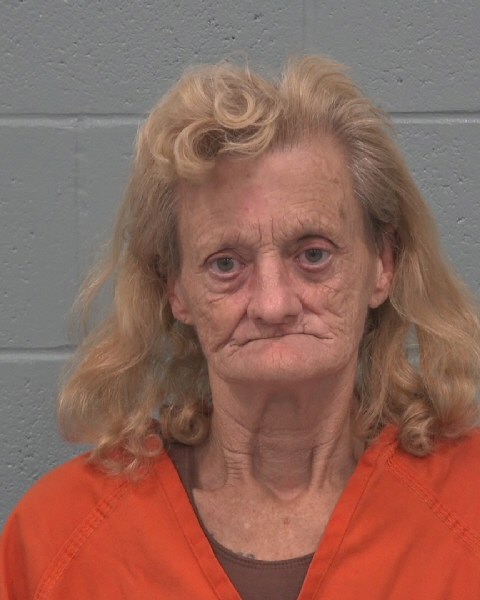 Mugshot of SHEILA MARIE BRYANT