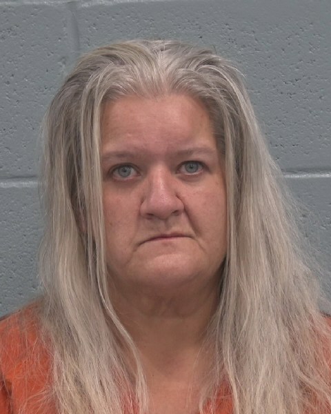 Mugshot of CHRISTINA MARIE FAHEY
