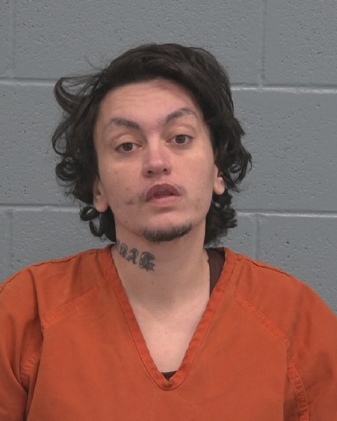 Mugshot of FATIME MERSIA SACIPOVIC