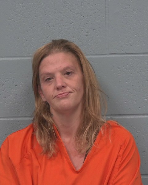 Mugshot of MARY EVELYN BAZEMORE
