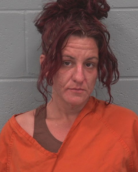 Mugshot of KRISTINA LEE NISI