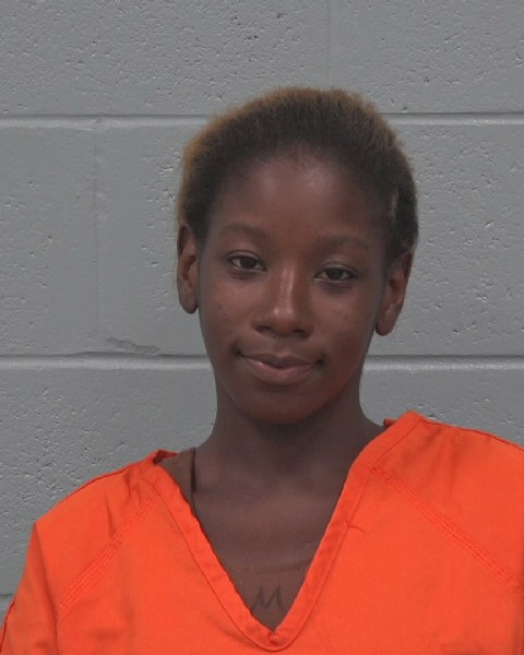Mugshot of JA`SHANTIS DESHAY SIMS