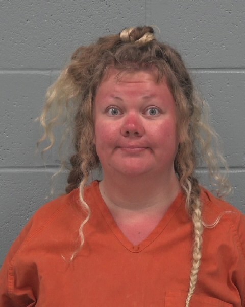 Mugshot of STACEY CAROLE SIMPSON