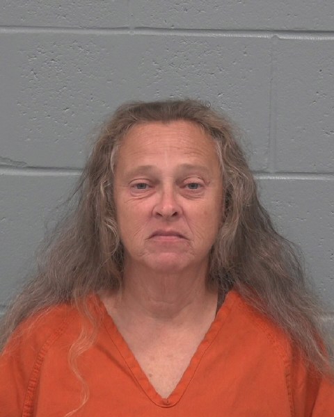 Mugshot of THERESA NATALIE GUARDINO