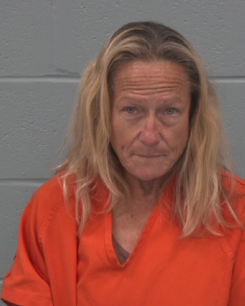 Mugshot of ROBIN LEONA DICK