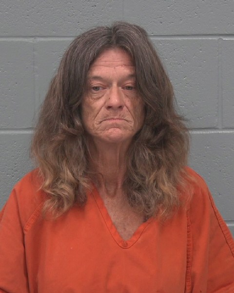 Mugshot of MELISSA ANN KEESLER