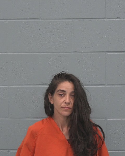 Mugshot of SARA DEL CASTILLO