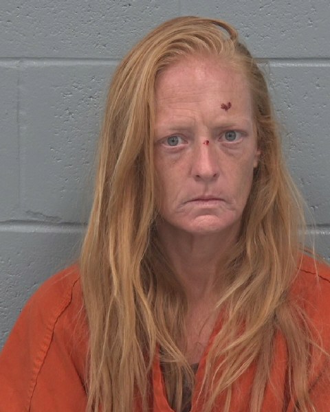 Mugshot of SARAH RAE CONROY