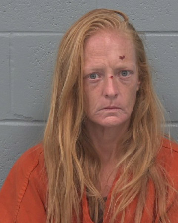 Mugshot of SARAH RAE CONROY