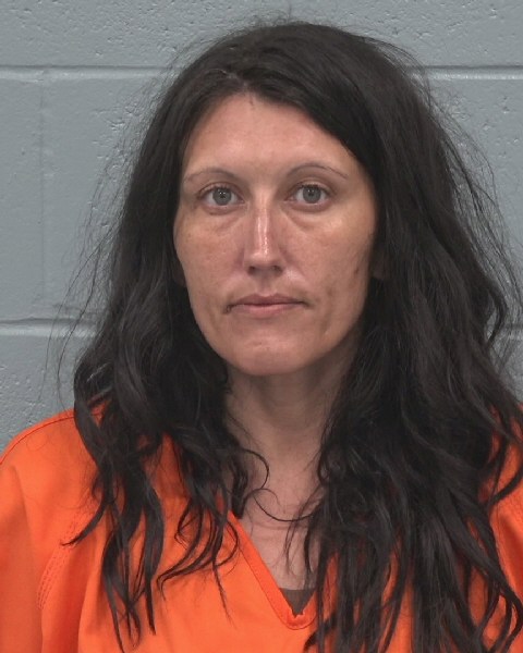 Mugshot of JENNIFER ANNE MARIE NIELSEN