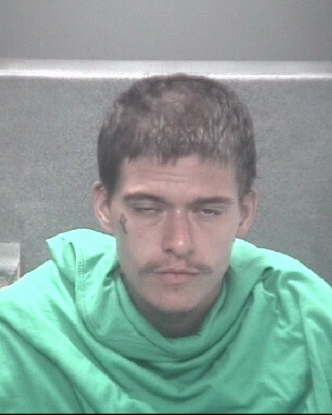 Mugshot of DAKOTA LEE LYLE