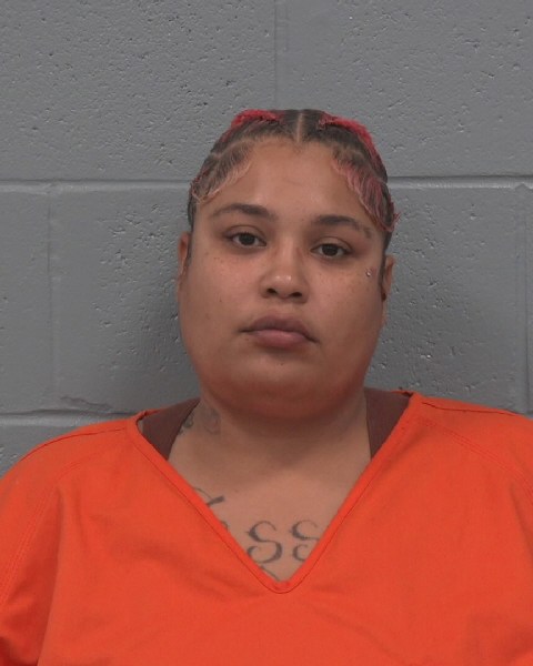 Mugshot of ASHLEY FAITH PERPIGNAND