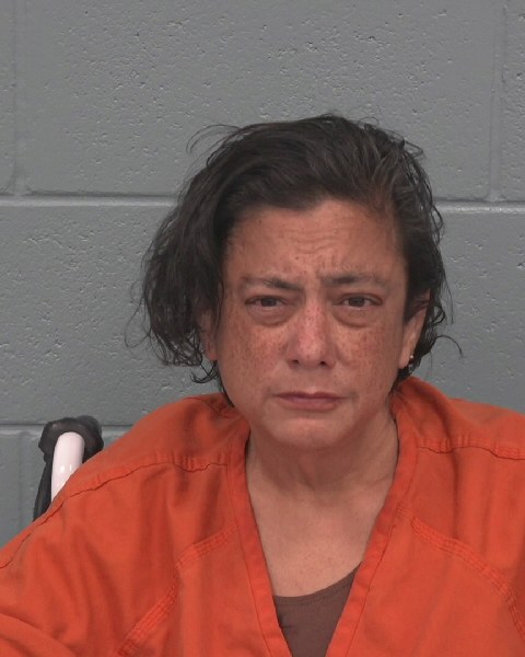 Mugshot of TERESA ANN ROY