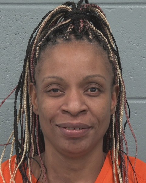 Mugshot of NIKITA LYNETTE ADKINS