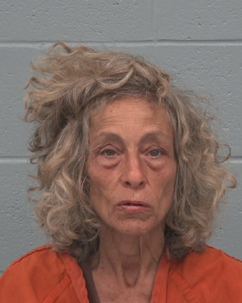 Mugshot of LAURIE ANN THOMAS