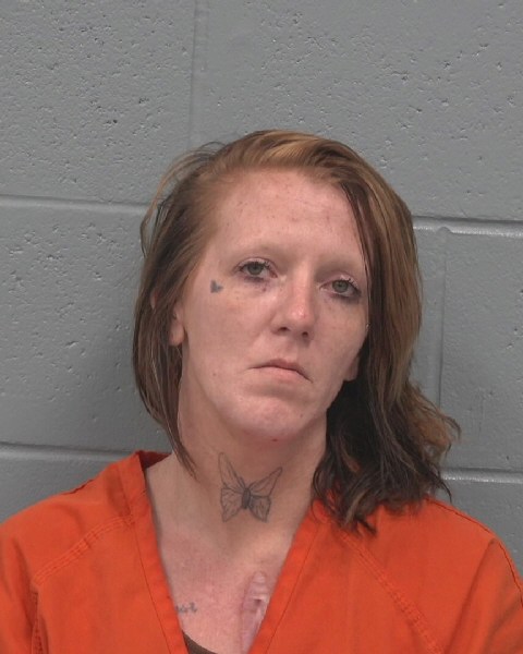 Mugshot of JESSICA RENEE ROLLINS