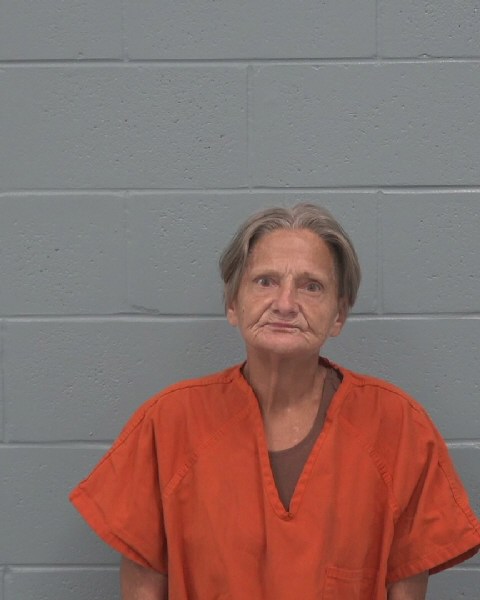 Mugshot of TINA MARIE VALENTINE