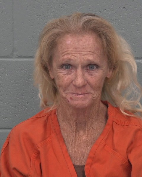 Mugshot of KIMBERLY ARBUTUS PLEASANTS