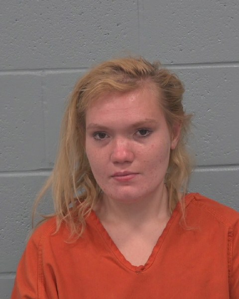 Mugshot of TONYA D`ANN SMYTHE