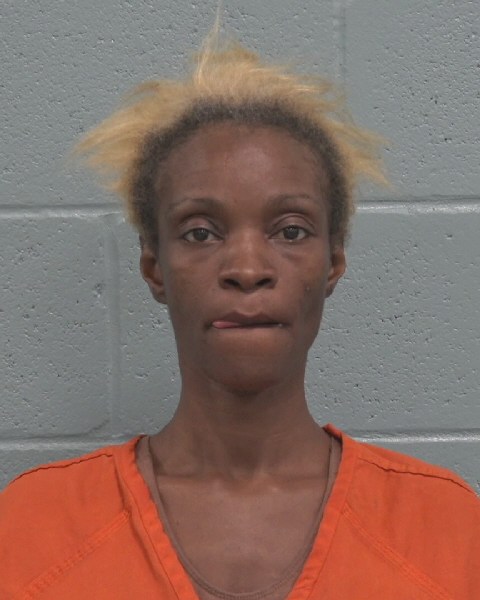 Mugshot of AFRICA SHENOVA JONES
