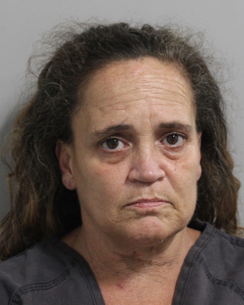 Mugshot of TINA DRURY