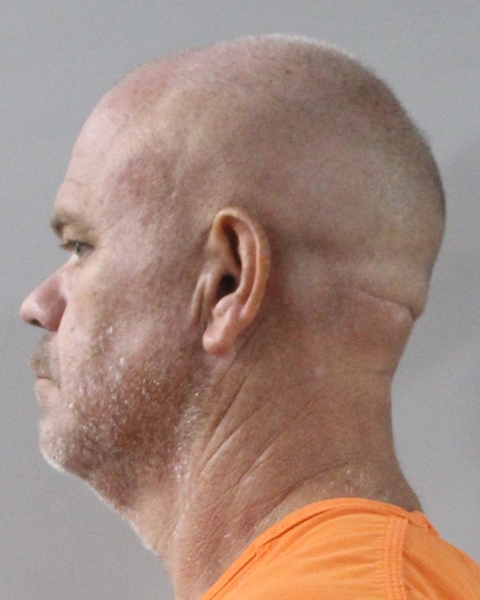 Mugshot of RONALD LEVAN FOLDS