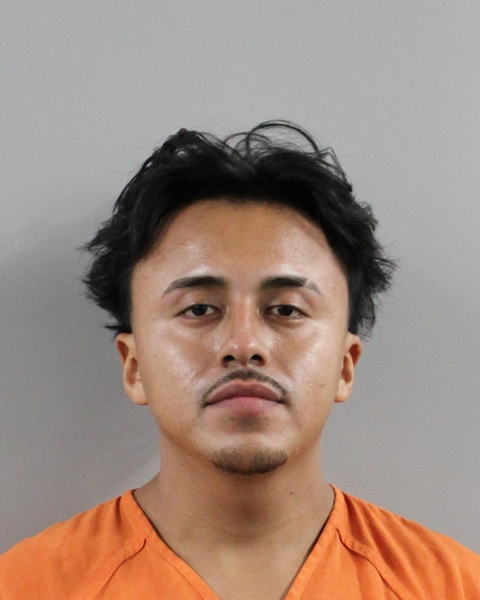 Mugshot of LUIS ALANIS-CERON