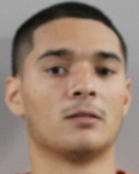 Mugshot of JOVAN JAY TRINCHET