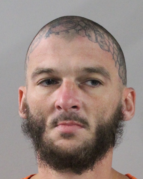 Mugshot of DENNIS RANDALL KING