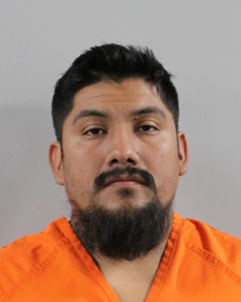 Mugshot of ELVIS LOPEZ GARCIA
