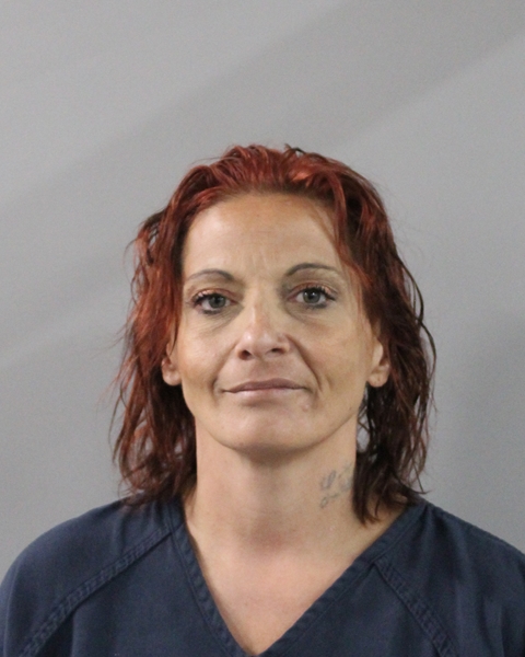 Mugshot of LISA GARGUS