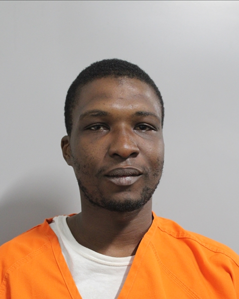 Mugshot of HENRY ADENIYI ISITUA