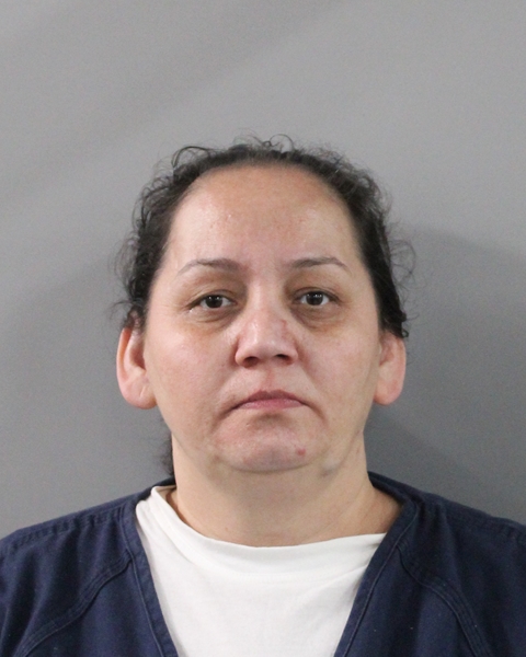 Mugshot of ARADA URSULECU