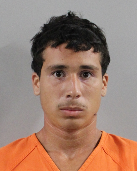 Mugshot of ERNESTO ROSADO