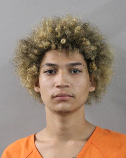 Mugshot of LUIS ANGEL SERRATA