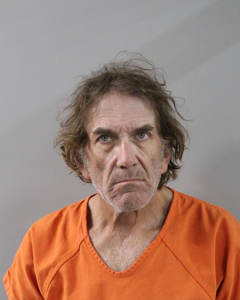 Mugshot of ROBIN ALLEN HANNAH