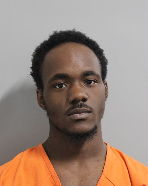 Mugshot of MICHIA DASHON DURANT