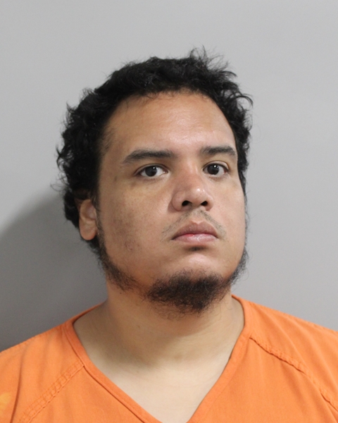 Mugshot of JOEL ADOLFO DELGADO