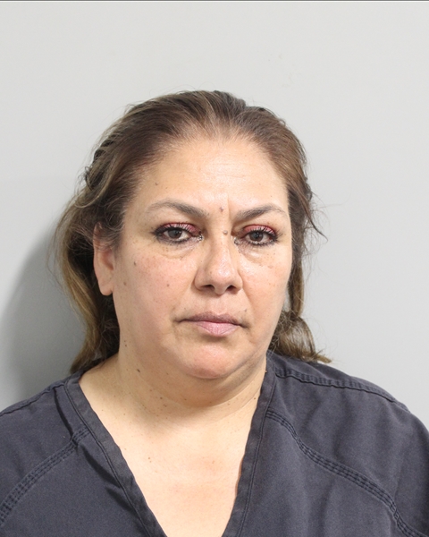 Mugshot of GRACIELA ANDRADE GAMEZ
