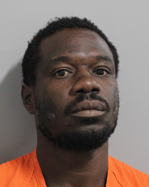 Mugshot of GABRIEL RICHARD
