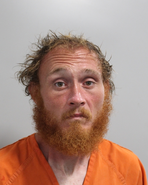 Mugshot of DONOVAN RAY BRADY