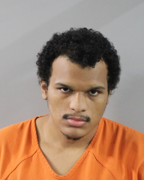 Mugshot of JASON BOSWELL