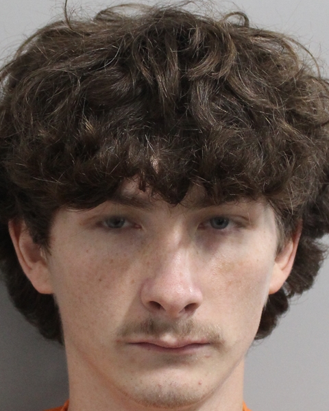 Mugshot of TAVEN CHAN