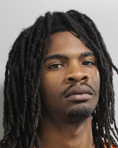 Mugshot of AMONIE DAVIS