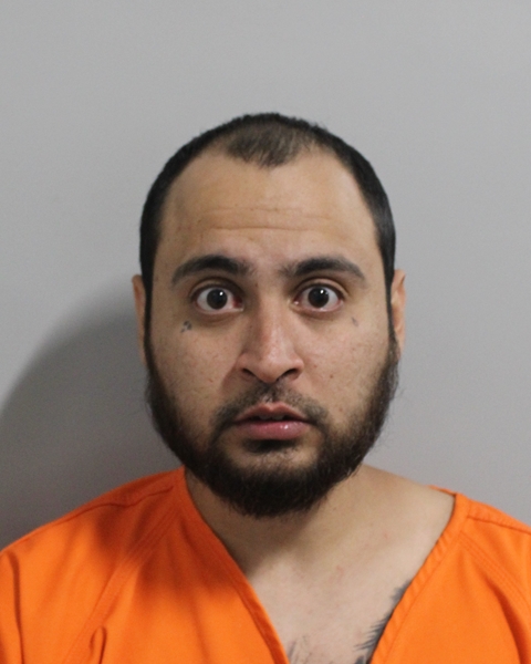 Mugshot of RAMSEY CASTRO