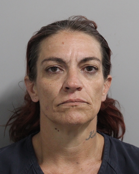 Mugshot of MELISSA WETONA BRYAN
