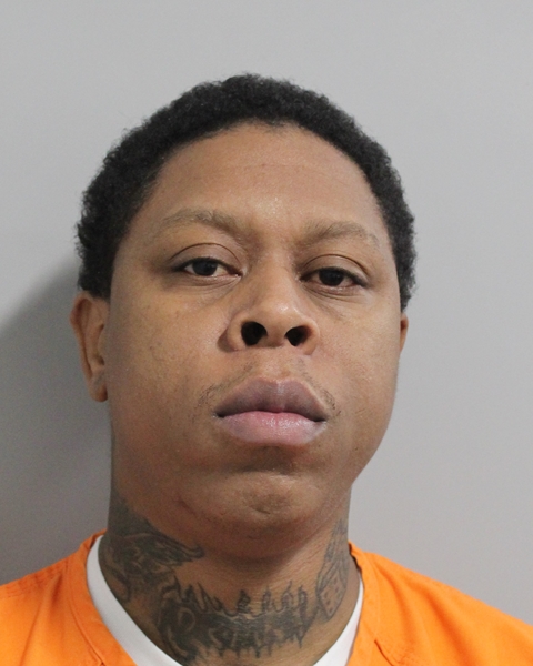 Mugshot of CAMERON DEVON PELT