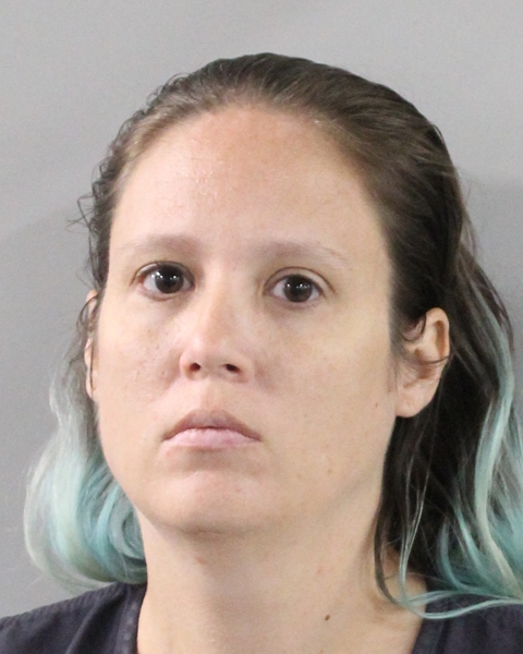 Mugshot of AMANDA DAWN LANE
